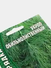 Семена укроп среднеспелый сорт "Обильнолиственный", 2500 семян (Большая грядка)