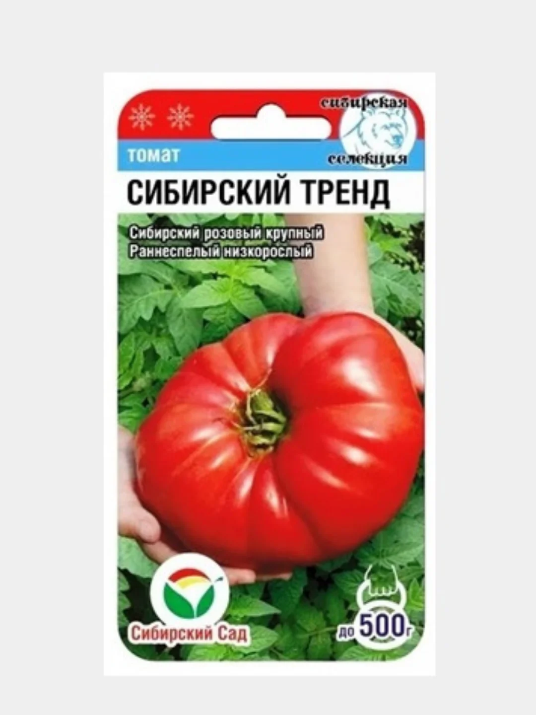 Семена Томат крупноплодный "Сибирский тренд", открытый грунт и теплица