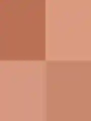 ZEESEA Тени для век Puppy Eyeshadow Quad тон P06