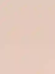 ZEESEA Праймер для лица Light feather repair cream тон DC03 skin color / телесный