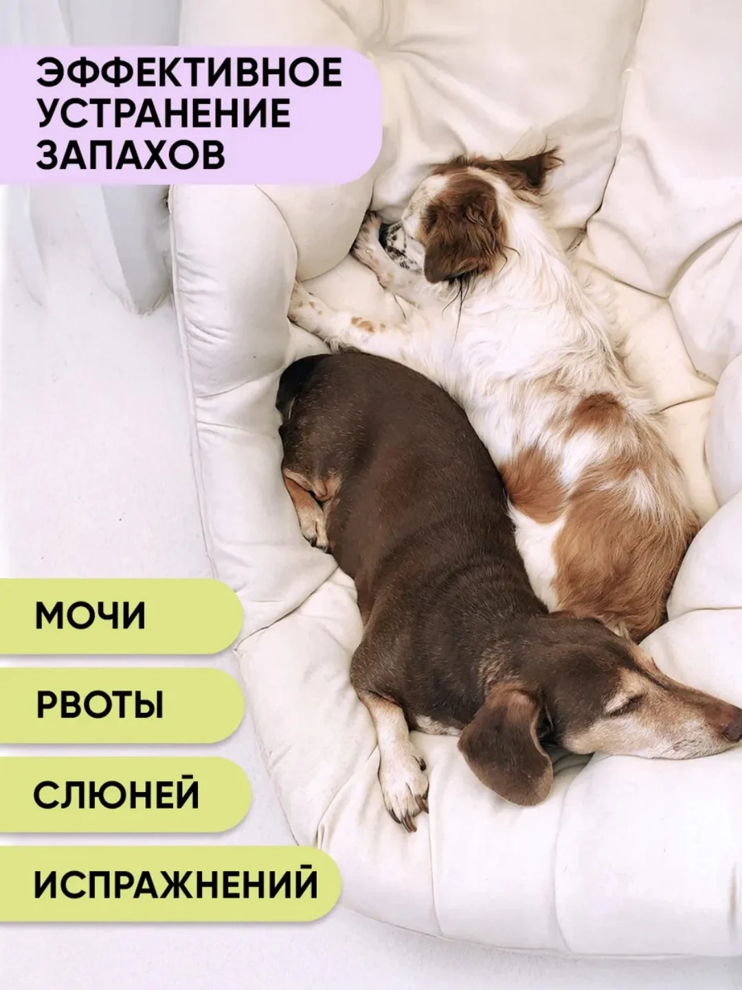 Эко порошок для стирки лежанок и одежды животных, нейтрализатор запахов OLIVETTI, 300 г