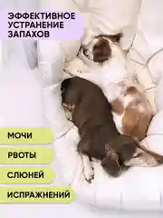Эко порошок для стирки лежанок и одежды животных, нейтрализатор запахов OLIVETTI, 300 г