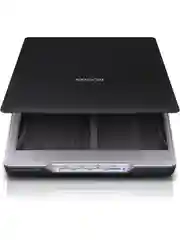 Черный сканер планшетный А4 Epson Perfection V19 (B11B231401) USB 4800х4800 dpi