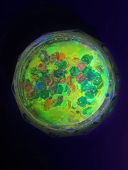 Светящиеся в темноте блестки для ногтей / Люминесцентные блестки для маникюра и педикюра