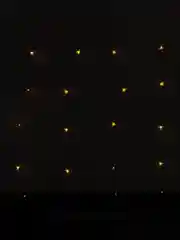 Желтый гирлянда-занавес, светодиодная, разные цвета