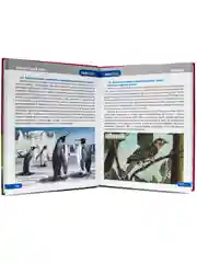 Энциклопедия 100 Вопросов и ответов. Набор из 2 шт Животный мир+Мир динозавров. Проф-Пресс