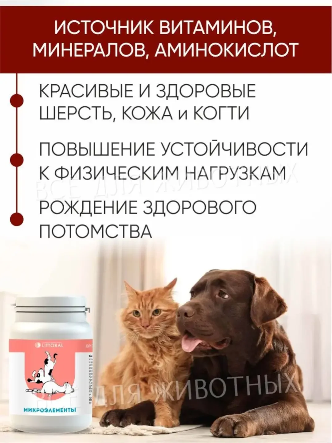 Пивные дрожжи с микроэлементами для кошек и собак, 80 таблеток