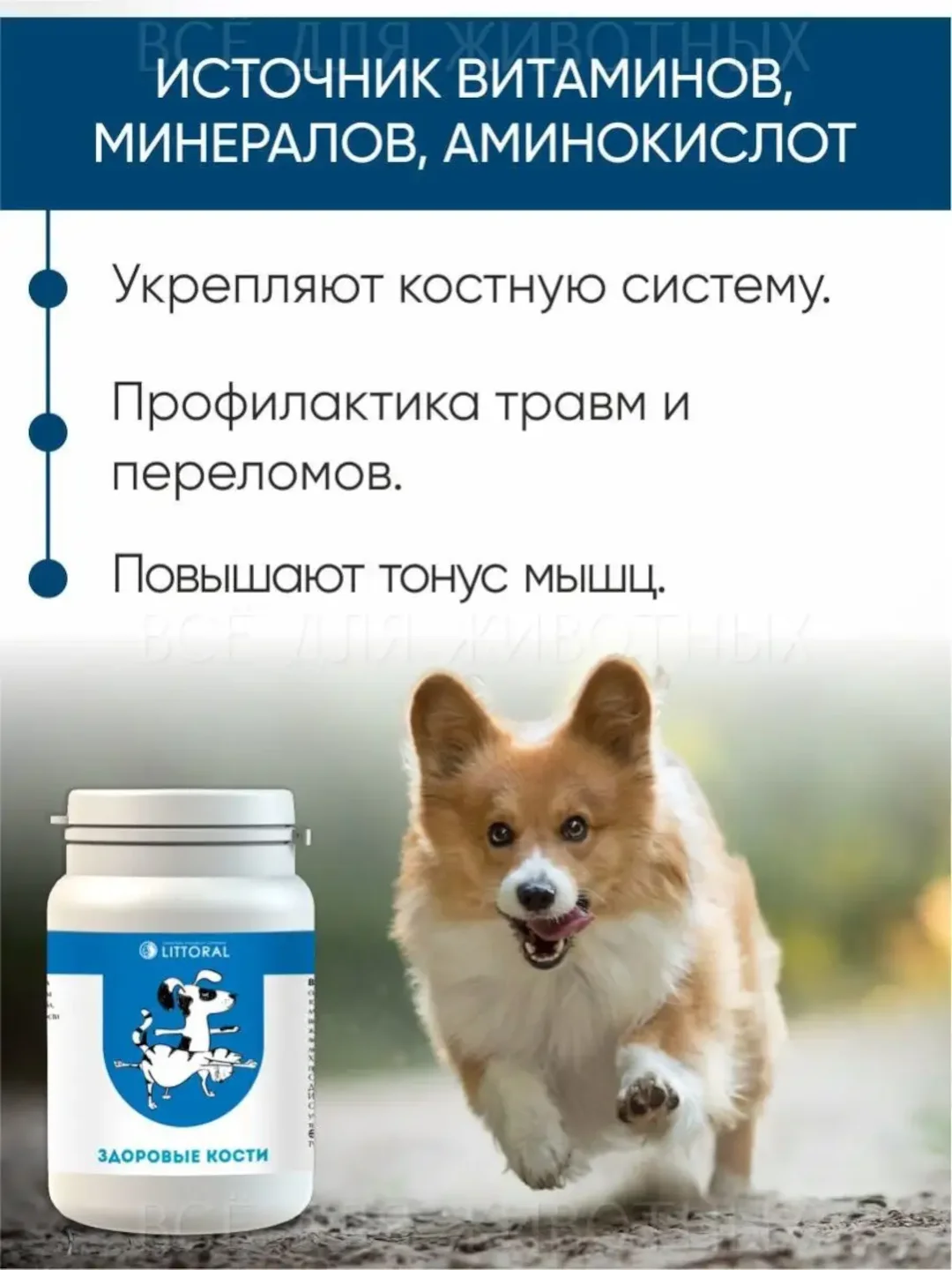 Пивные дрожжи "Здоровые кости", для кошек и собак, с кальцием, 80 таблеток