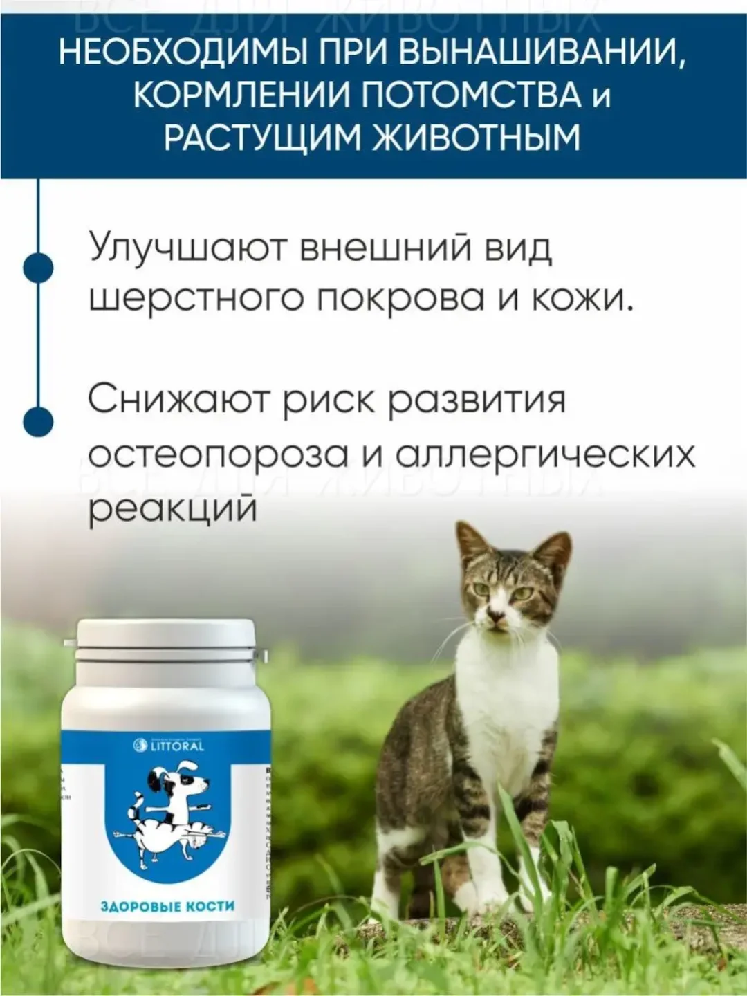 Пивные дрожжи "Здоровые кости", для кошек и собак, с кальцием, 80 таблеток