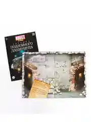 Книга-квест Загадка подземного лабиринта версия 2, 8+