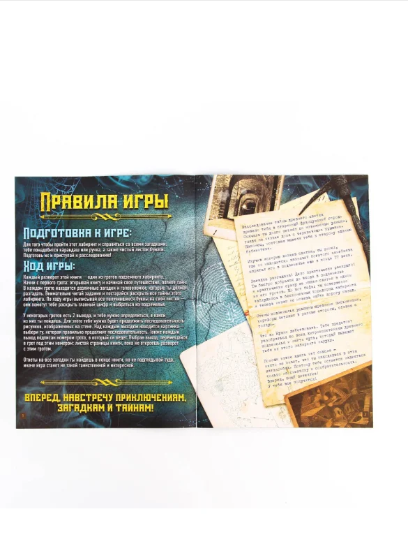 Книга-квест Загадка подземного лабиринта версия 2, 8+