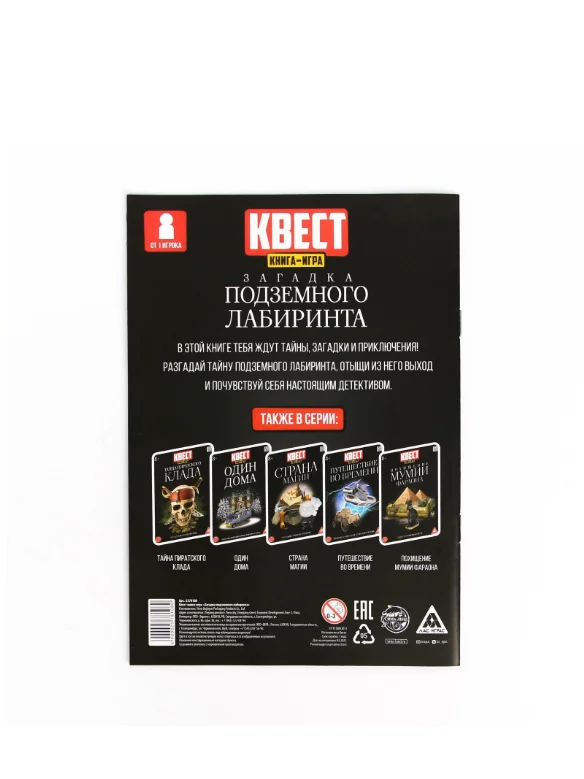 Книга-квест Загадка подземного лабиринта версия 2, 8+
