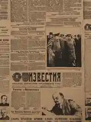 Коричневый новогодняя бумага, 70 - 100 см, подарочная, упаковочная, крафт упаковка для подарка, 40 видов