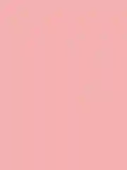 ZEESEA Румяна Dessert Collection Powder Blush тон 01, 3,5 г