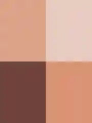 ZEESEA Тени для век Puppy Eyeshadow Quad тон P05