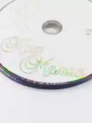 Серебряный диски DVD-R 4,7 GB 16х 5, 10 шт