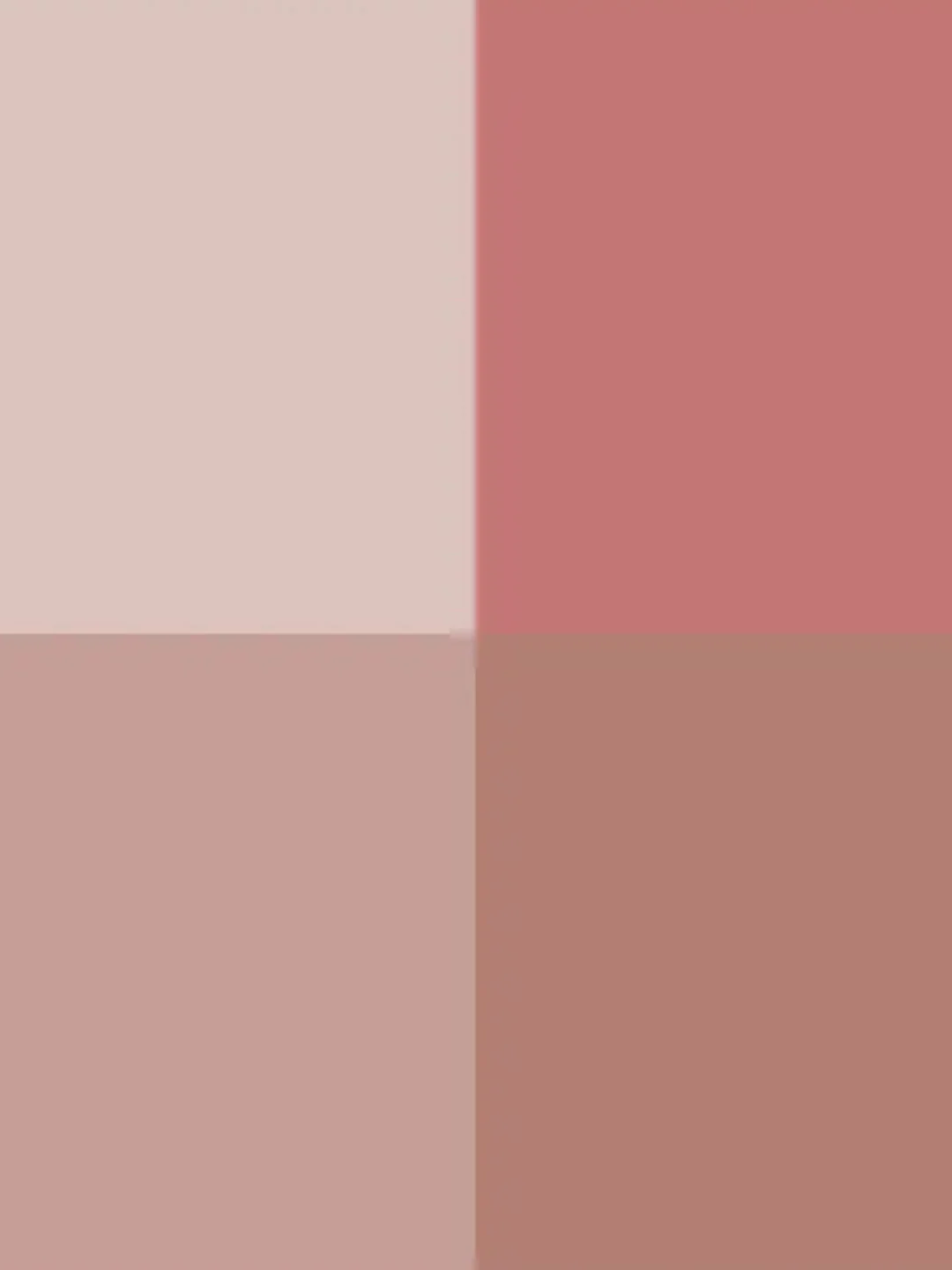 ZEESEA Тени для век Puppy Eyeshadow Quad тон P04