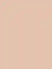 ZEESEA Тональная основа Cream Velvet Liquid Foundation тон 02 Natural / натуральный