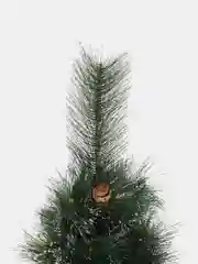 Елка новогодняя искусственная "Сосна", с инеем и шишками 120, 150, 180, 210 см