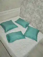 Комплект из 2 однотонных наволочек, 50 x 70 и 70 x 70 см, полисатин