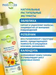 Шампунь для волос укрепляющий MOLECOLA, 400 мл