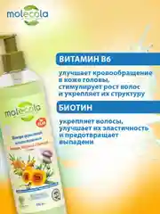 Шампунь для волос укрепляющий MOLECOLA, 400 мл