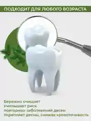 Зубная паста Новый Жемчуг Хвойный бальзам, 100 мл, 2 шт