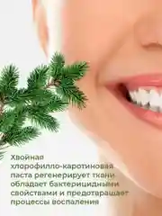 Зубная паста Новый Жемчуг Хвойный бальзам, 100 мл, 2 шт