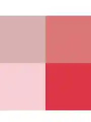 ZEESEA Тени для век Puppy Eyeshadow Quad тон P03