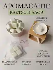 Лайм подарочный набор Аромасаше / Саше для белья / Саше для шкафа / Wax melts для аромалампы