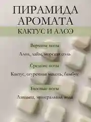 Лайм подарочный набор Аромасаше / Саше для белья / Саше для шкафа / Wax melts для аромалампы