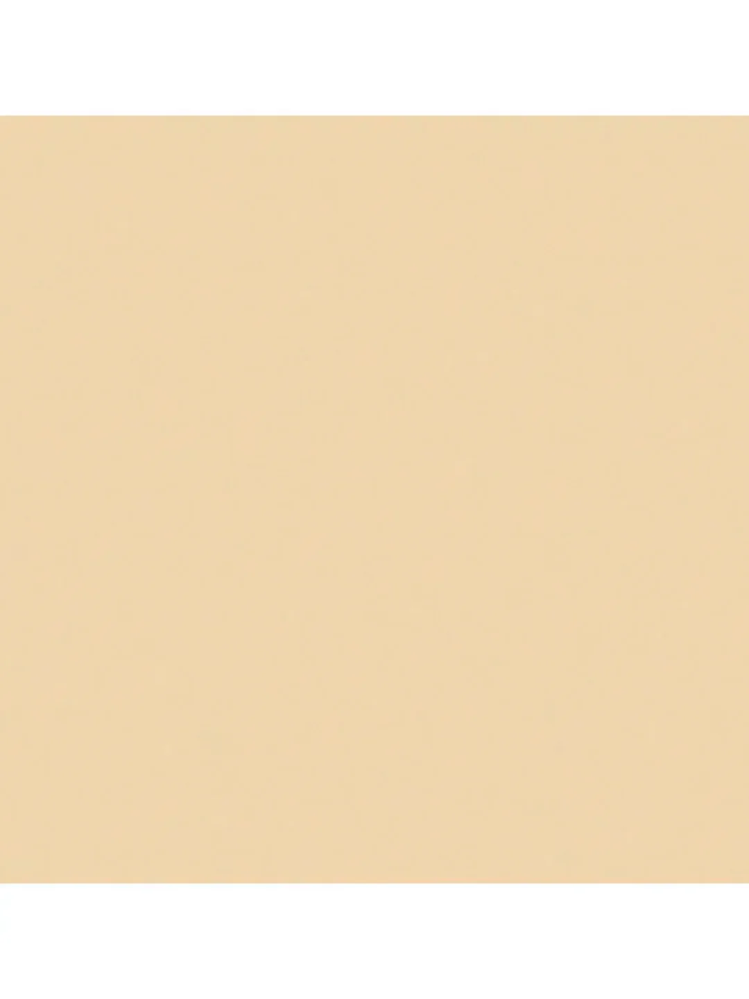 Nouba Маскирующее средство TOUCH CONCEALER 05 5мл