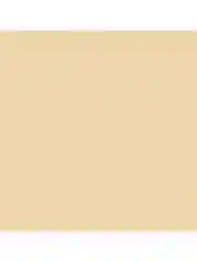 Nouba Маскирующее средство TOUCH CONCEALER 05 5мл