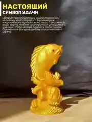 Денежный карп кои фен шуй