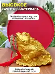 Денежная жаба большая 14 см с подвеской 5 монет фен шуй