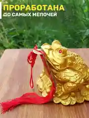 Денежная жаба большая 14 см с подвеской 5 монет фен шуй