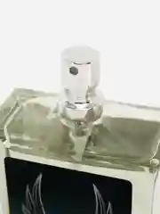 Euroluxe/Туалетная вода мужская Victory for men 100мл