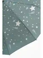 Зеленый женский зонт