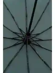 Зеленый женский зонт