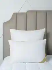 Подушка Arya Пух Перо Natural Line 70X70 Selvina