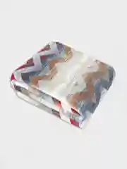 Плед Arya Хлопок 200X220 Zigzag Цветной