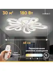 Люстра потолочная светодиодная Bience