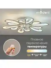 Люстра потолочная светодиодная Bience