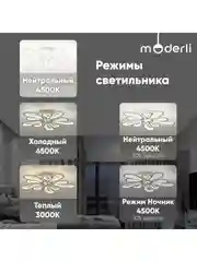 Люстра потолочная светодиодная Bience