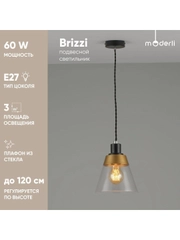 Подвесной светильник Moderli Brizzi1165