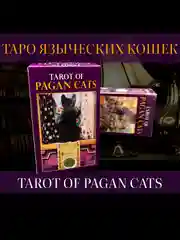Таро Языческих кошек Tarot of Pagan Cats, 6х10,3 см