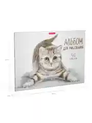 Альбом для рисования на клею ErichKrause Tabby, А4, 40 листов