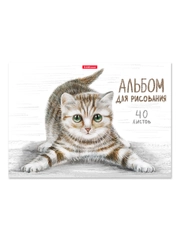Альбом для рисования на клею ErichKrause Tabby, А4, 40 листов