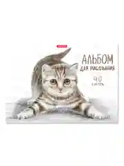 Альбом для рисования на клею ErichKrause Tabby, А4, 40 листов