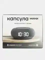 Серый умная колонка VK Капсула Мини с голосовым помощником Марусей с часами